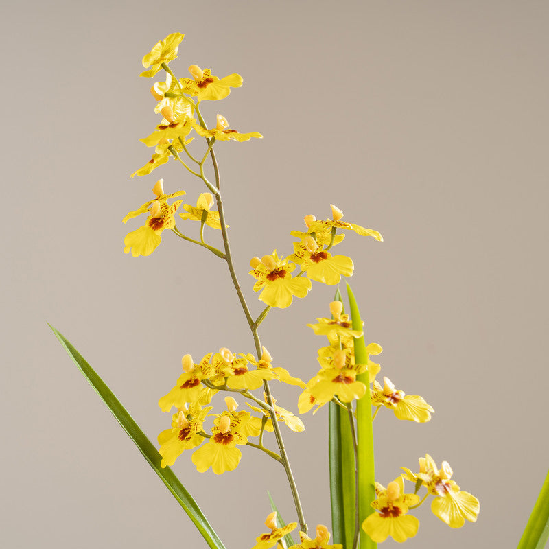 58.5cm Real Touch Yellow Oncidium Spray in Cement Pot